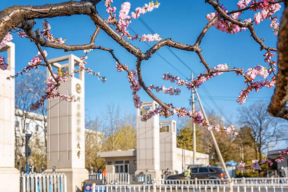 大學(xué)引入思卡樂訪客系統(tǒng)：做好預(yù)約登記管理，共建開放校園